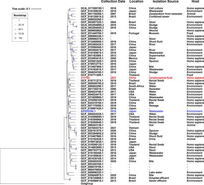 Genomic analysis of chromosomal cointegrated blaNDM-1-carrying ICE and blaRSA-1-carrying IME from clinical multidrug resistant Aeromonas caviae